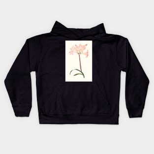 Amaryllis Belladonna - botanical illustration Kids Hoodie